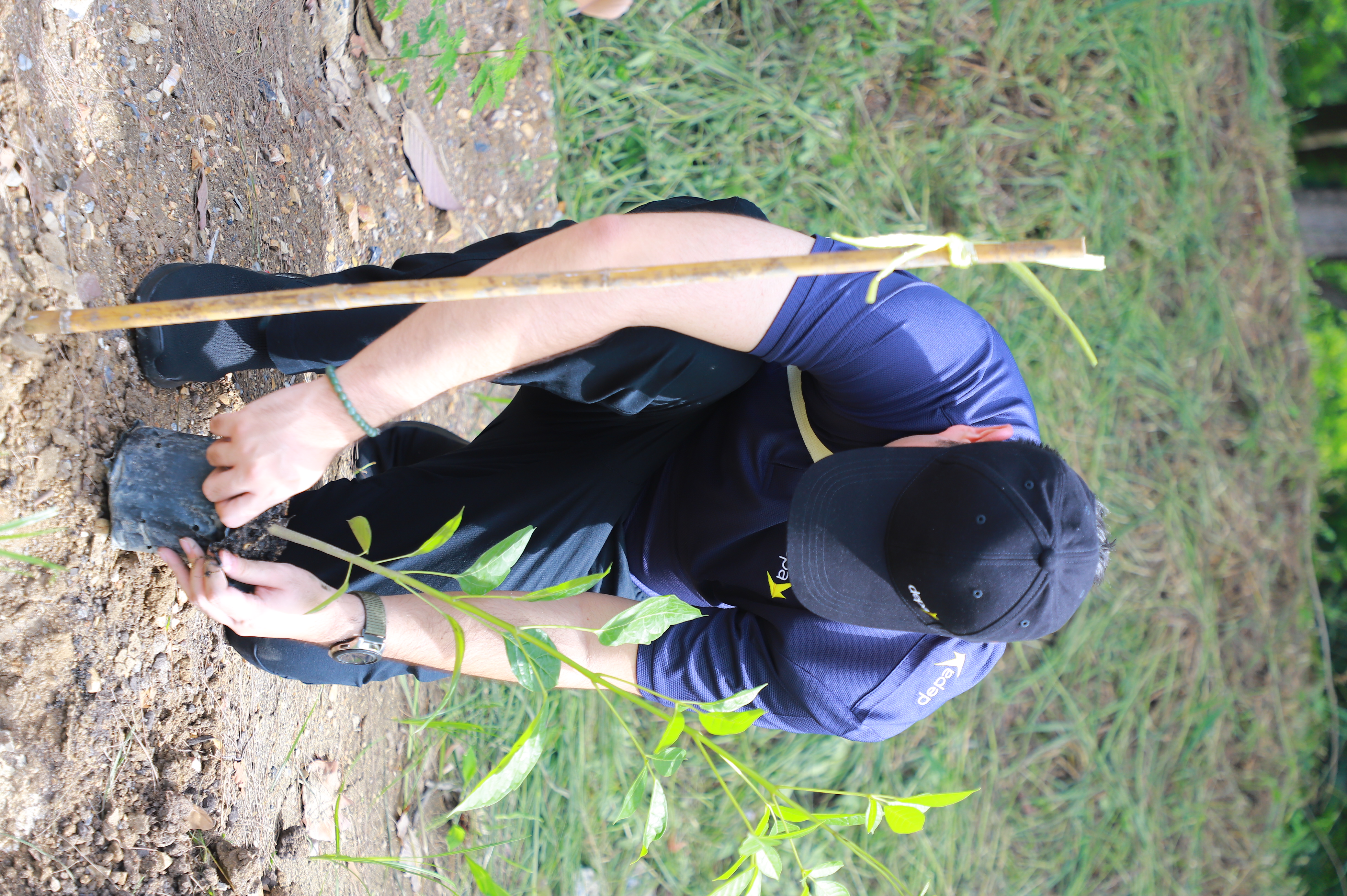 title - ส.ป.ก. - depa ร่วมใจปลูกต้นไม้ ภายใต้กิจกรรม CSR ปลูกต้นไม้ (Grow Green) เพิ่มพื้นที่สีเขียว ลด CO2 ณ ศูนย์ส่งเสริมและพัฒนาอาชีพเสริมนอกภาคการเกษตร